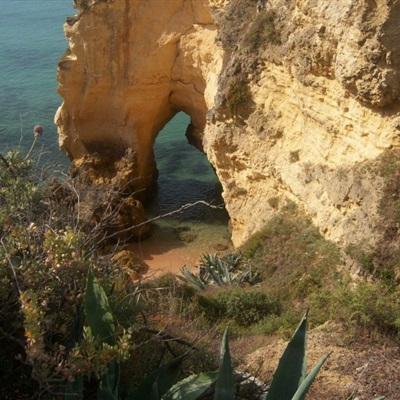 金年会体育登录入口